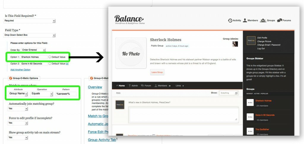 Basic Group O Matic Example 1024x487 BuddyPress Group O Matic: Adding members to groups based on profile fields!